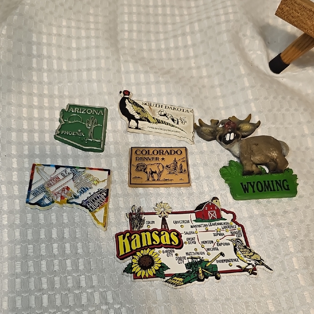 Colorful State Souvenir Magnets Set